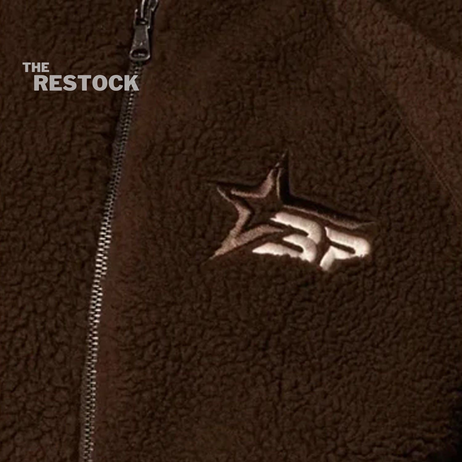 Broken Planet Market Polar Fleece - Mocha Brown