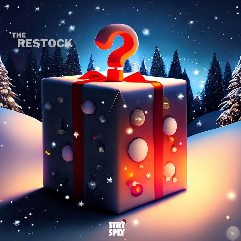 CHRISTMAS PUFFER JACKET MYSTERY BOX