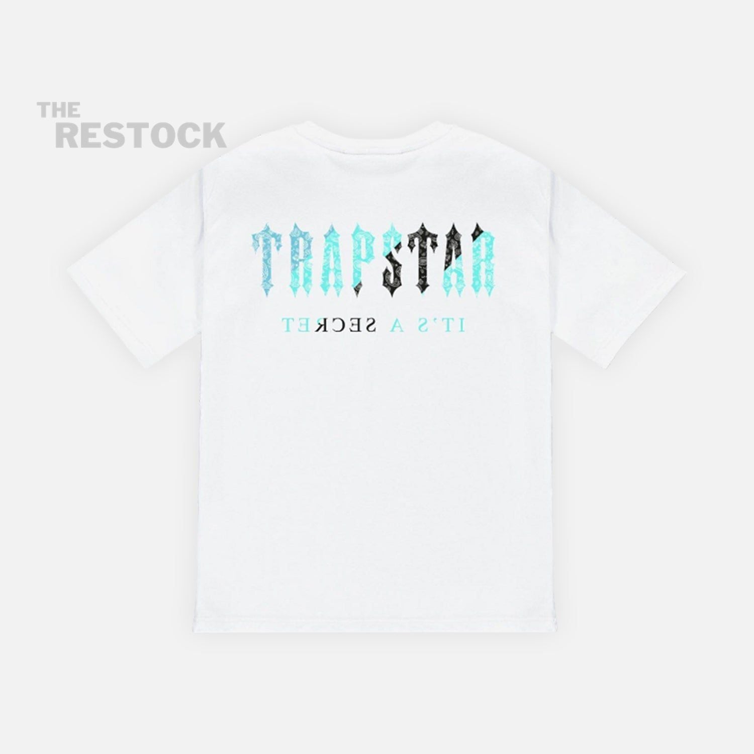 Trapstar Decoded Paisley T-Shirt - White / Teal
